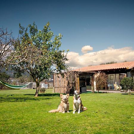 투이 Casa Barros 빌라 외부 사진